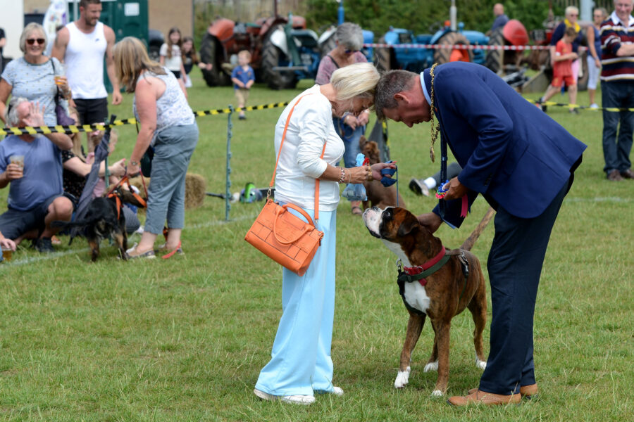 Mayor Andrew Pearsall judging the Honiton Market Charter Day 2025 dog show.
